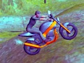 Spel Bergfietsryer  aanlyn