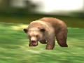 Spel Safari Animal Hunter aanlyn