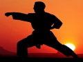 Spel Karate Sunset Warriors aanlyn