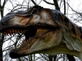 Spel T-Rex dinosourus figuursaag  aanlyn