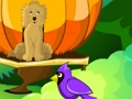 Spel Blossom Garden Escape aanlyn