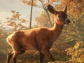 Spel Safari Jeep Car Parking SIM: Jungle Adventure aanlyn