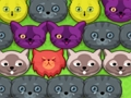 Spel Pop-pop katjies  aanlyn