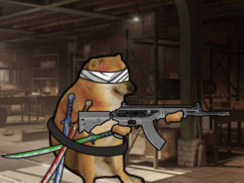 Spel Doge's Battle Royale aanlyn