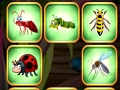 Spel Insekstampwedstryd  aanlyn