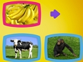 Spel Wat eet diere?  aanlyn