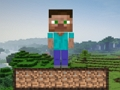 Spel Minecraft-oorlewing  aanlyn