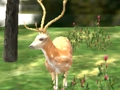 Spel Animal Safari Hunter 2020 aanlyn