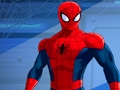 Spel Spiderman Kill Zombies aanlyn