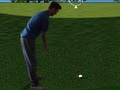 Spel Flash Golf 3D  aanlyn
