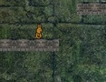 Spel Bunny Adventure  aanlyn
