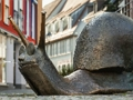 Spel Beeld Snail Jigsaw  aanlyn