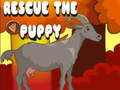 Spel Red die hondjie  aanlyn