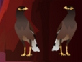 Spel Pekin Duck Escape aanlyn