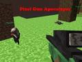 Spel Pixel Gun Apocalypse aanlyn