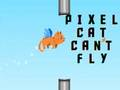 Spel Pixel kat kan nie vlieg nie  aanlyn