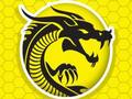 Spel Kung Fu Fury aanlyn