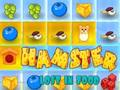 Spel Hamster Verlore In Kos  aanlyn