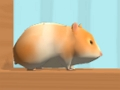 Spel Hamster doolhof aanlyn aanlyn