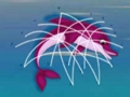 Spel Dolphin Rescue aanlyn