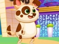 Spel Pragtige virtuele hond  aanlyn