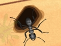 Spel Smash die miere aanlyn