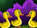 Spel Duck Land Escape 2 aanlyn