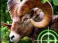 Spel Crazy Goat Hunter 2020 aanlyn