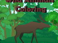 Spel Wilde diere kleur  aanlyn