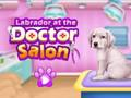 Spel Labrador by die doktersalon  aanlyn