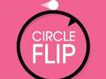 Spel Sirkel Flip  aanlyn