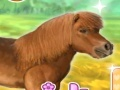 Spel My liewe ponie  aanlyn