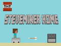 Spel Steveminer Huis  aanlyn