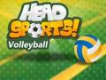 Spel Hoof Sport Vlugbal  aanlyn