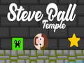 Spel Steve Ball Temple aanlyn