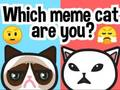 Spel Watter meme kat is jy?  aanlyn