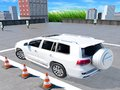 Spel Prado Motor Parkering  aanlyn