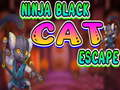Spel Ninja swart kat ontsnap aanlyn