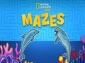 Spel Nat Geo Kids Mazes aanlyn