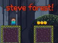 Spel Steve Forest aanlyn
