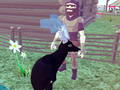 Spel Deer Simulator 3D aanlyn
