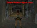 Spel Tomb Raider Oop Lara  aanlyn