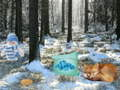 Spel Winter Wonderland Bos avontuur  aanlyn