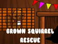 Spel Brown Squirrel Rescue aanlyn