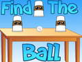 Spel Vind die bal  aanlyn
