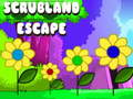 Spel Scrubland Escape aanlyn