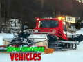 Spel Snow Groomer Voertuie  aanlyn