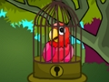 Spel Red die rooi papegaai 2  aanlyn