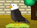 Spel Racing Car Escape aanlyn