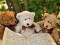 Spel Cuddly Three Teddy Jigsaw aanlyn